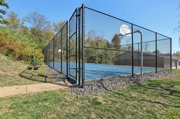 Basketball court
